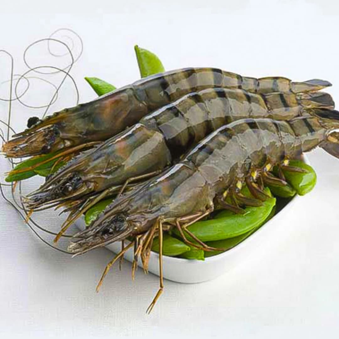 Prawn